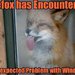 firefox_windows.jpg