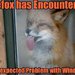 firefox_windows.jpg