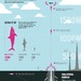 mega-shark-infographic.jpg