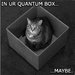 quantumcat.jpg